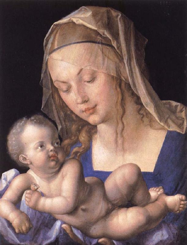 Albrecht Durer Madonna with the pear